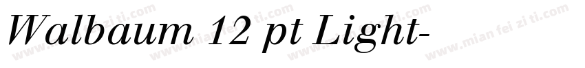 Walbaum 12 pt Light字体转换